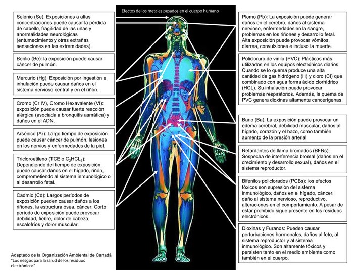 riesgos-para-la-salud